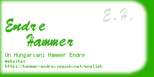 endre hammer business card